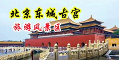 欧美性爱黑鸡巴中国北京-东城古宫旅游风景区